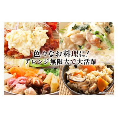 鶏肉 3回 定期便 もも肉 若鶏もも肉 切身 500g ×6p 総計 9kg [31ai0029]