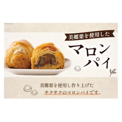 お菓子 マロンパイ 6個 栗菓子工房みず穂屋 宮崎県 美郷町 栗 和栗 くり [31at0015]
