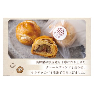 お菓子 マロンパイ 6個 栗菓子工房みず穂屋 宮崎県 美郷町 栗 和栗 くり [31at0015]
