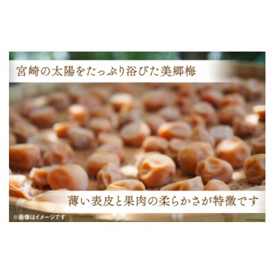 美郷町 詰め合わせ 明治神宮 秋の例大祭 奉献品 セット 美郷梅 うまみ昆布 [31ab0131]