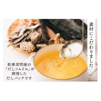 だしパック 3回 定期便 野菜だし 3袋 岡田商店 宮崎県 美郷町 国産 粉末 [31ac0076]