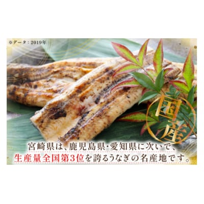 うなぎ 鰻 白焼き 1尾 たれ付き オーチャンズ 宮崎県 美郷町 ウナギ 国産 [31bn0004]