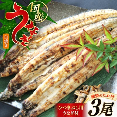 うなぎ 鰻 白焼き 3尾 たれ付き オーチャンズ 宮崎県 美郷町 ウナギ 国産 [31bn0006]