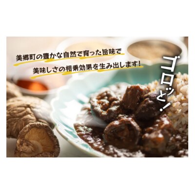 カレー レトルト 山師のおひさま なばカレー 宮崎牛 原木椎茸 使用 180g [31ao0025]