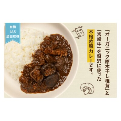 カレー レトルト 山師のおひさま なばカレー 宮崎牛 原木椎茸 使用 180g [31ao0025]