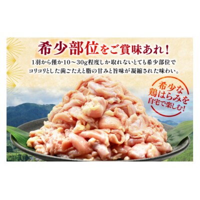 鶏肉 若鶏 はらみ 2kg 鶏はらみ ミヤケイフード 宮崎県 美郷町 鶏 肉 [31bp0021]
