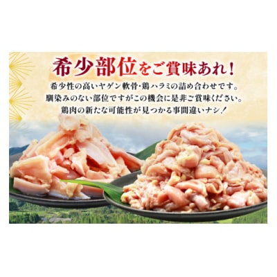 鶏肉 詰め合わせ 宮崎県産 若鶏 鶏ハラミ 鶏ヤゲン軟骨 各1kg 計2kg [31bp0022]