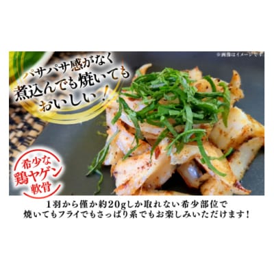 鶏肉 詰め合わせ 宮崎県産 若鶏 鶏ハラミ 鶏ヤゲン軟骨 各1kg 計2kg [31bp0022]