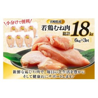 鶏肉 定期便 むね肉 若鶏 鶏むね肉 6kg 3回 総計18kg [31bp0020]