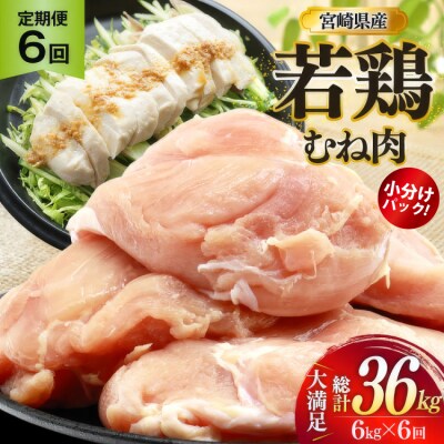 鶏肉 定期便 むね肉 若鶏 鶏むね肉 6kg 6回 総計36kg [31bp0019]