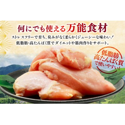 鶏肉 定期便 むね肉 若鶏 鶏むね肉 6kg 6回 総計36kg [31bp0019]