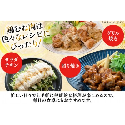 鶏肉 定期便 むね肉 若鶏 鶏むね肉 6kg 12回 総計72kg [31bp0018]