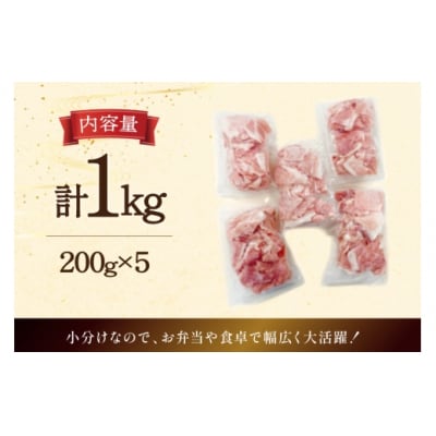 豚肉 宮崎県産 豚 小間切れ 200g 5P 計1kg マルミヤストア 宮崎県 [31ag0144]