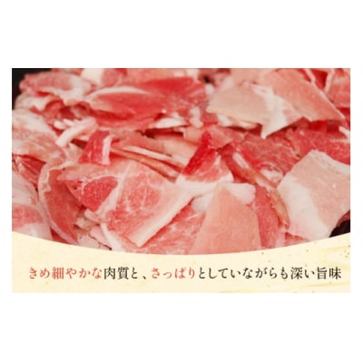 豚肉 宮崎県産 豚 小間切れ 200g 10P 計2kg マルミヤストア [31ag0143]