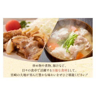 豚肉 宮崎県産 豚 小間切れ 200g 10P 計2kg マルミヤストア [31ag0143]