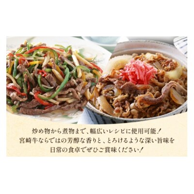 牛肉 宮崎牛 小間切れ 200g 10P 計2kg マルミヤストア 宮崎県 [31ag0147]