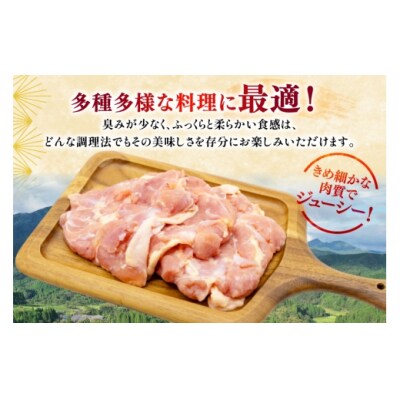 鶏肉 もも 宮崎県産 若鶏 もも肉 4kg 8枚～16枚程度 ミヤケイフード [31bp0027]
