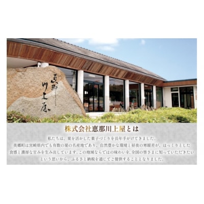 モンブラン ケーキ 美郷の実り 1箱 380g 恵那川上屋 宮崎県 美郷町 [31bq0001]