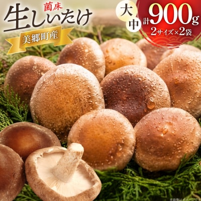 生しいたけ セット 約300g× 2 約150g× 2 計4袋 約900g [31bs0001