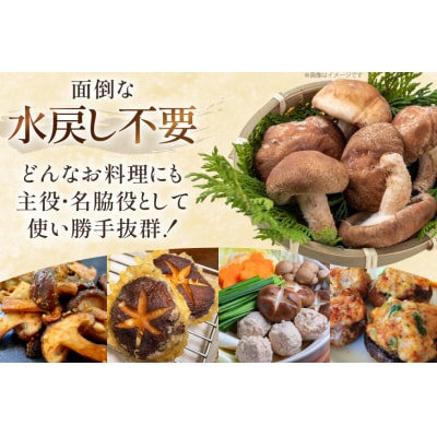 生しいたけ セット 約300g× 2 約150g× 2 計4袋 約900g [31bs0001] 