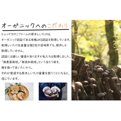 しいたけ 乾燥 椎茸 130g [HUTTE 宮崎県 美郷町 31ao0041] ふるさと納税
