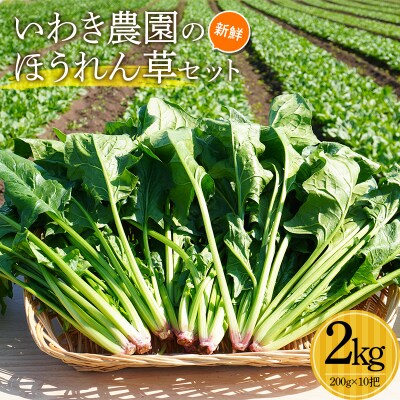 三陸山田産 新鮮 ほうれん草 セット 2kg ホウレンソウ 野菜
