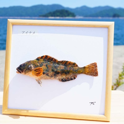 手作り 本物そっくり魚の模型 1点