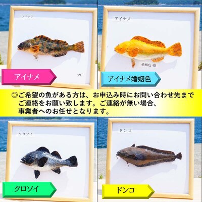 手作り 本物そっくり魚の模型 1点