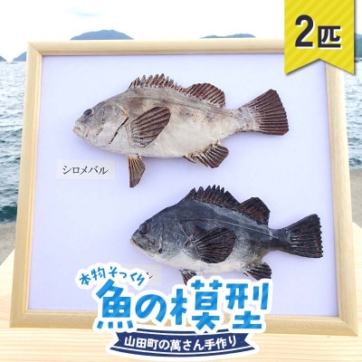 手作り 本物そっくり魚の模型 2点