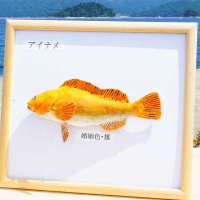 手作り 本物そっくり魚の模型 2点