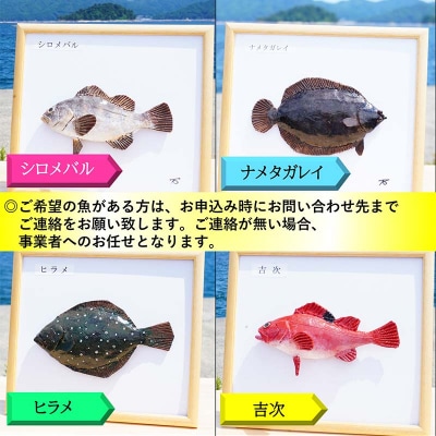 手作り 本物そっくり魚の模型 2点