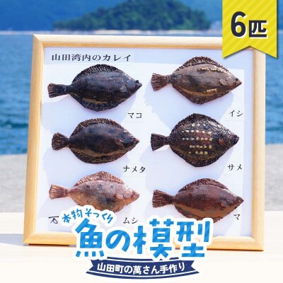 手作り 本物そっくり魚の模型 6点