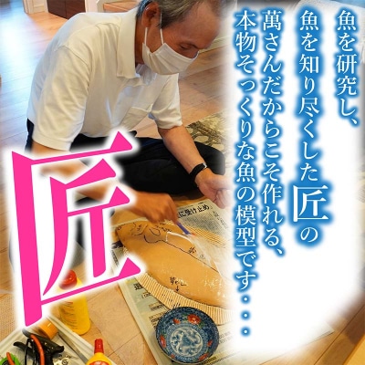 手作り 本物そっくり魚の模型 6点