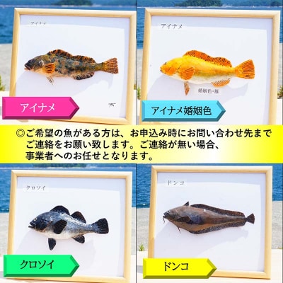 手作り 本物そっくり魚の模型 6点