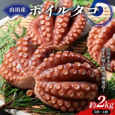 三陸山田産 ボイル タコ 2kg