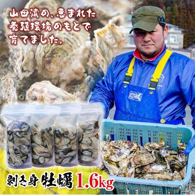 【先行予約】三陸山田産 剥き身 牡蠣 400g×4パック(1.6㎏)セット カキ