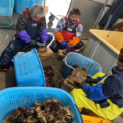 三陸山田産 剥き身 牡蠣 約500g×1パック カキ
