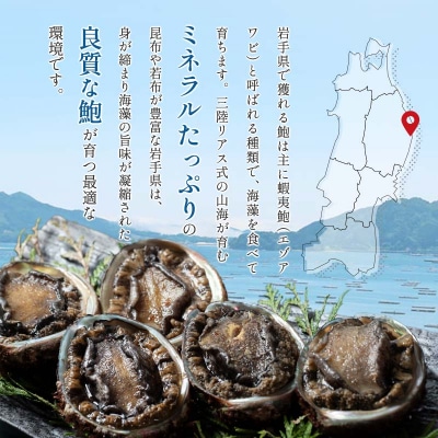 三陸山田 冷凍 鮑 500g あわび