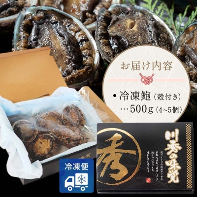 三陸山田 冷凍 鮑 500g あわび