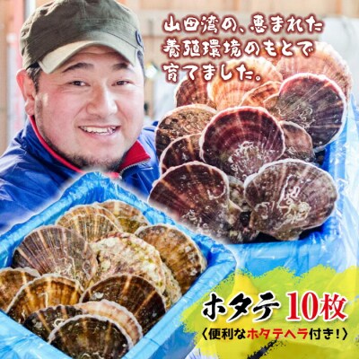 三陸山田産 ホタテ (大)10枚セット ほたて 帆立