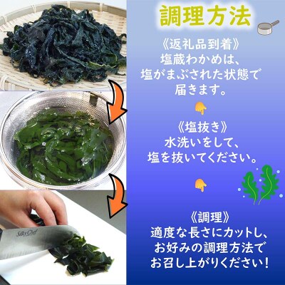 三陸山田産 塩蔵 わかめ 150g×5袋 ワカメ