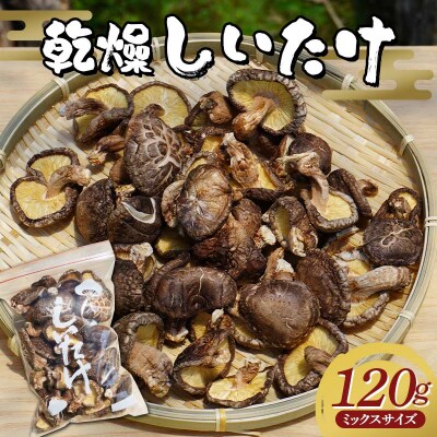 三陸山田産 乾燥 椎茸 120g(ミックスサイズ) しいたけ シイタケ