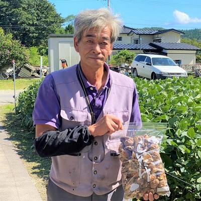 三陸山田産 乾燥 椎茸 200g(ミックスサイズ) しいたけ シイタケ