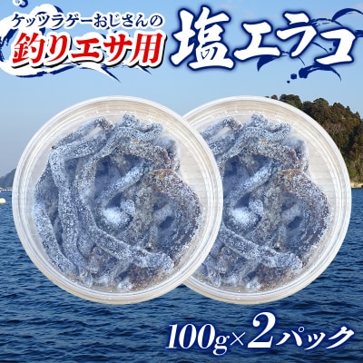 釣り エサ 用 塩 エラコ 100g×2パック