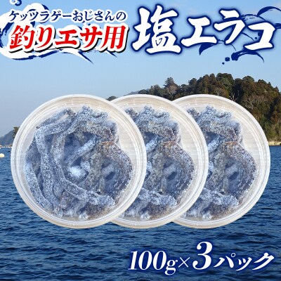 釣り エサ 用 塩エラコ 100g×3パック