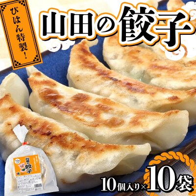 山田 の 餃子 10個入り×10袋 びはん