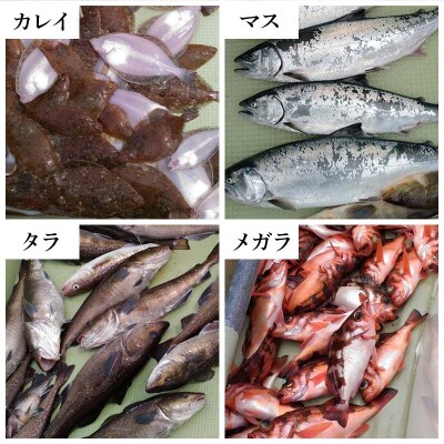 三陸 沿岸地域 釣り船 邦栄丸 乗船券 3名分