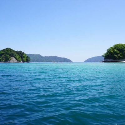 三陸 沿岸地域 釣り船 邦栄丸 乗船券 4名分