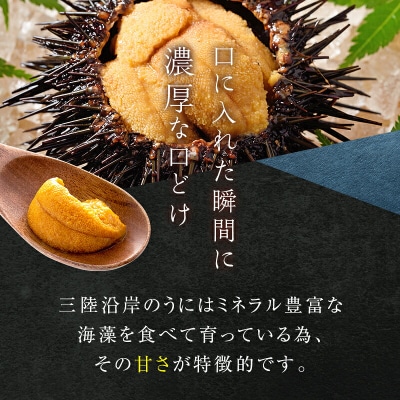 【無添加】三陸山田 塩 うに 150g×1個  ウニ