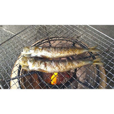 三陸山田 【無添加】おまかせ 干物 セット(中)